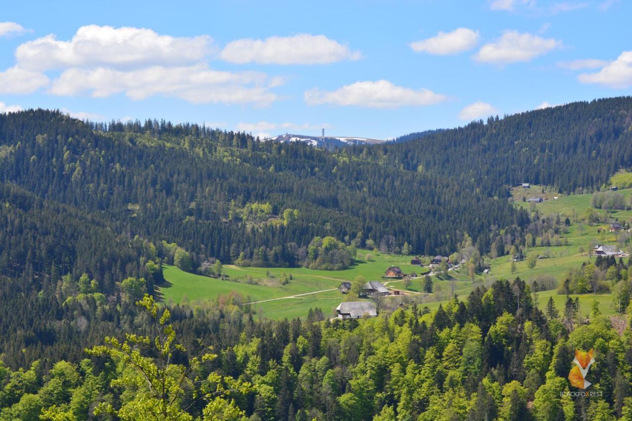Blackfoxrest Ferienwohnung Feldberg  Kültér fotó