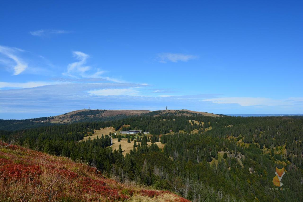 Blackfoxrest Ferienwohnung Feldberg  Kültér fotó