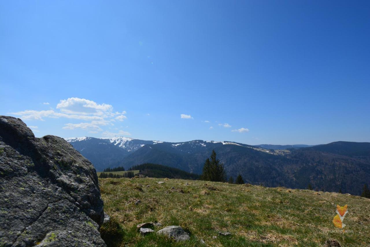 Blackfoxrest Ferienwohnung Feldberg  Kültér fotó
