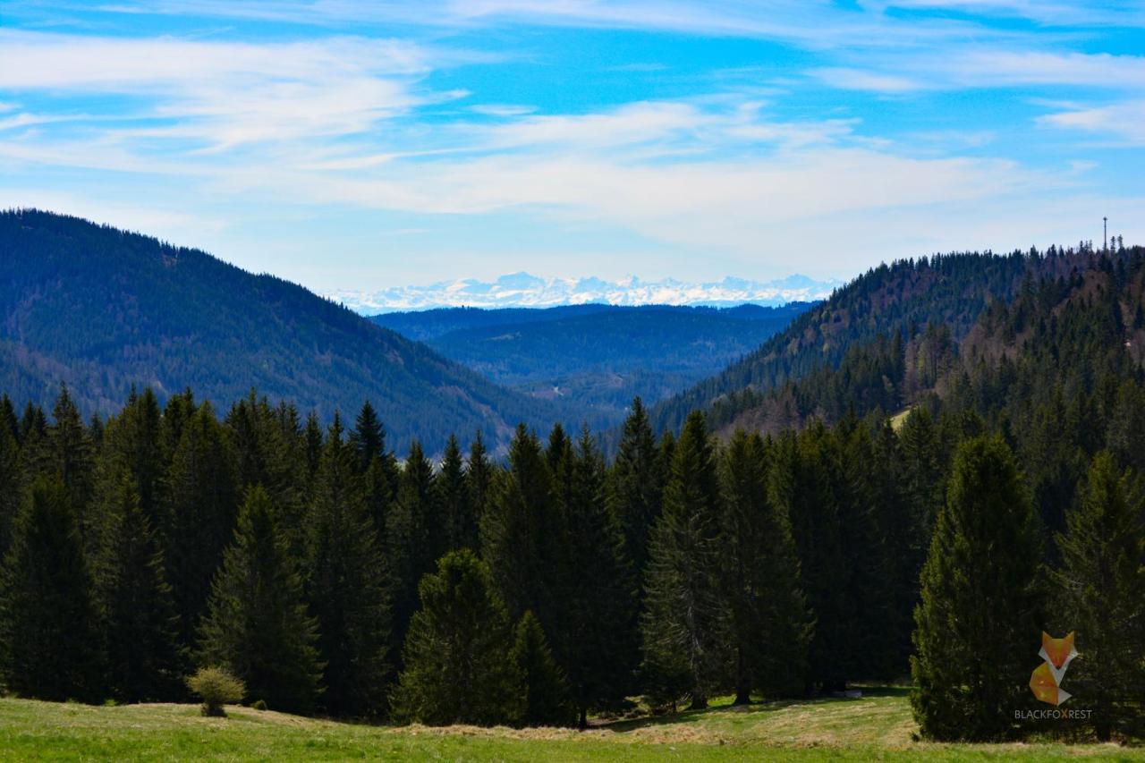 Blackfoxrest Ferienwohnung Feldberg  Kültér fotó