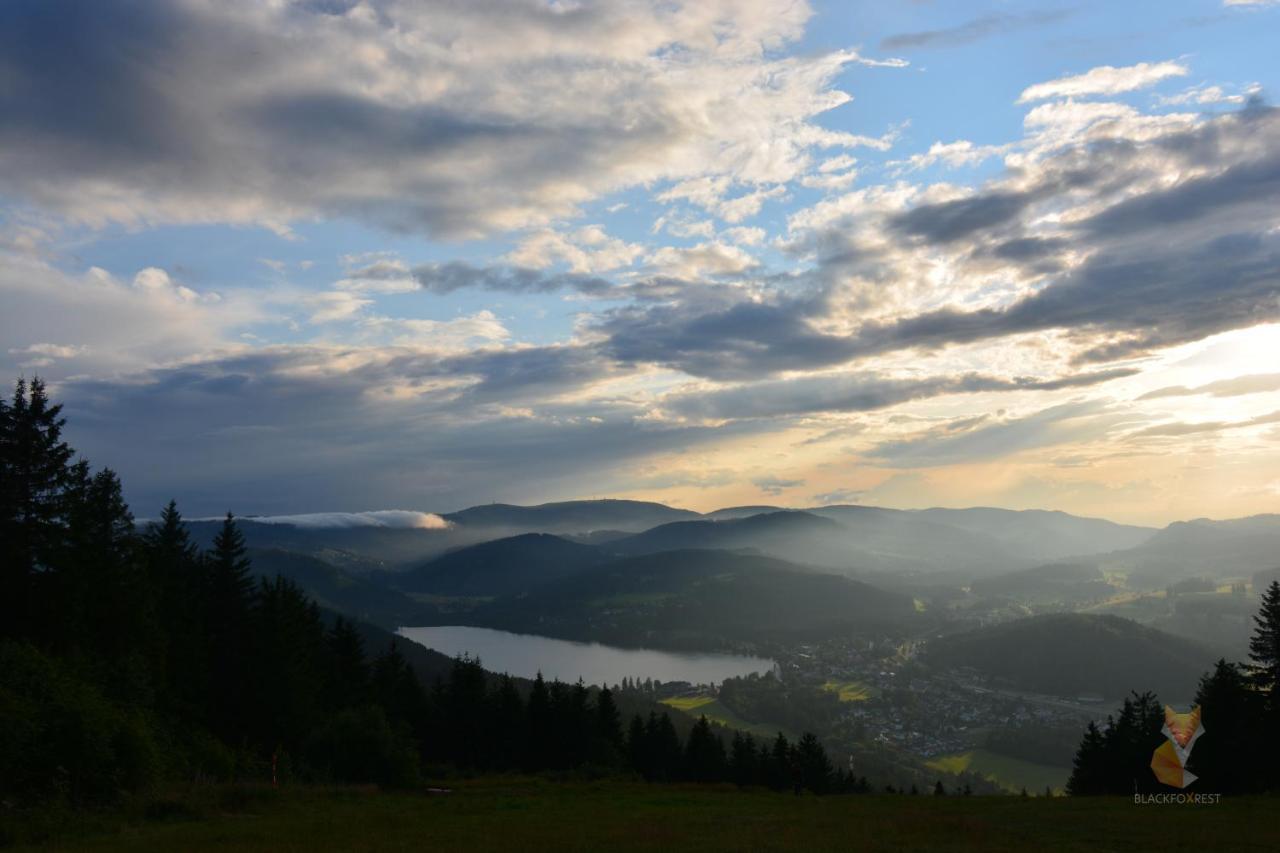Blackfoxrest Ferienwohnung Feldberg  Kültér fotó