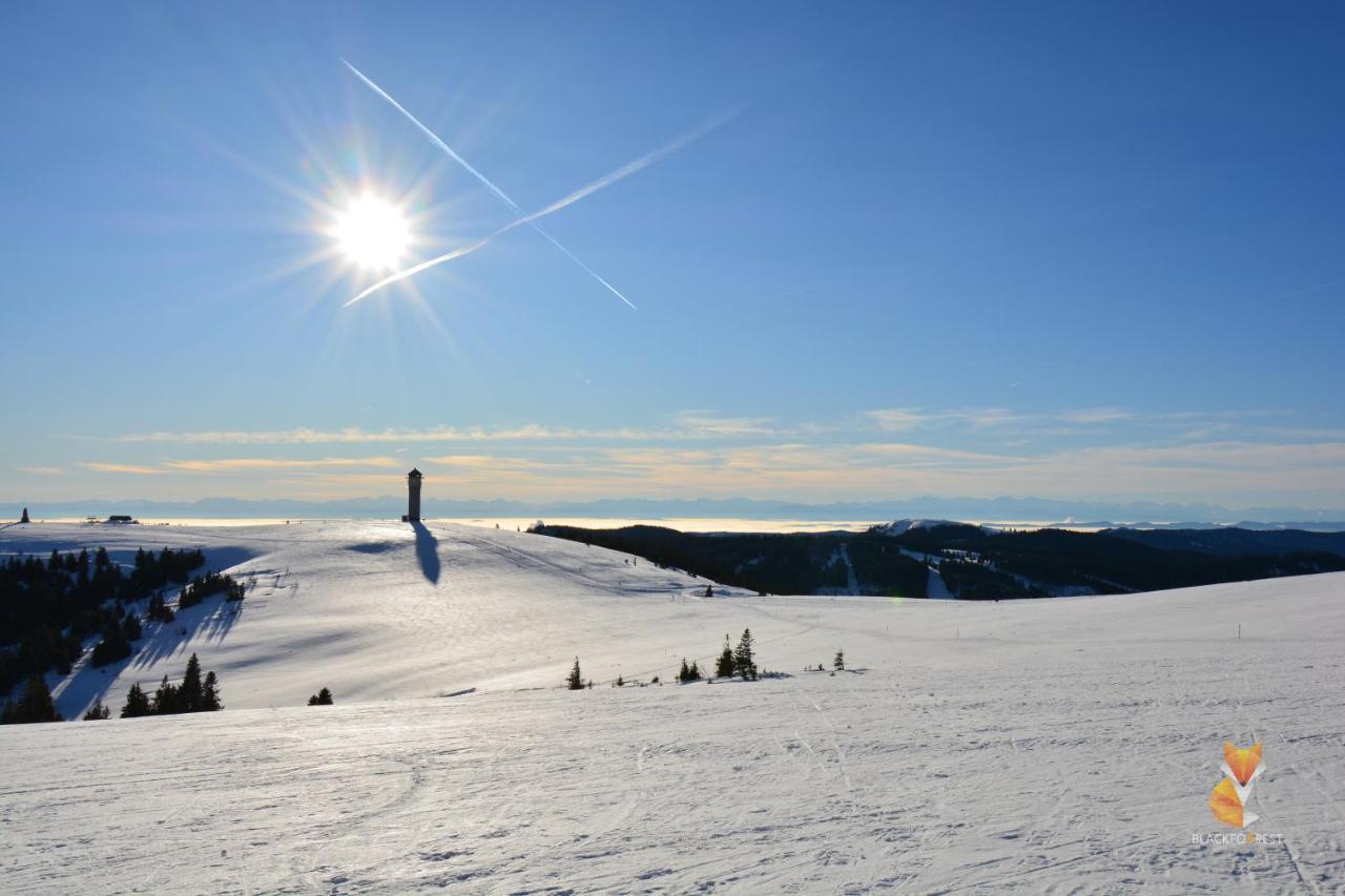 Blackfoxrest Ferienwohnung Feldberg  Kültér fotó