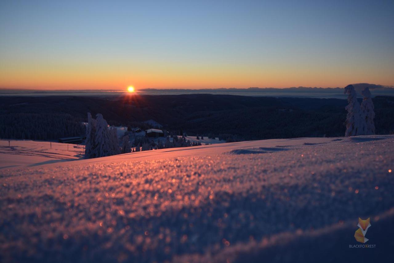 Blackfoxrest Ferienwohnung Feldberg  Kültér fotó