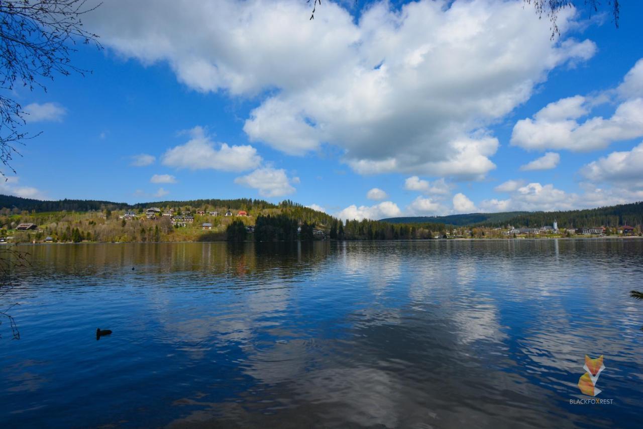 Blackfoxrest Ferienwohnung Feldberg  Kültér fotó